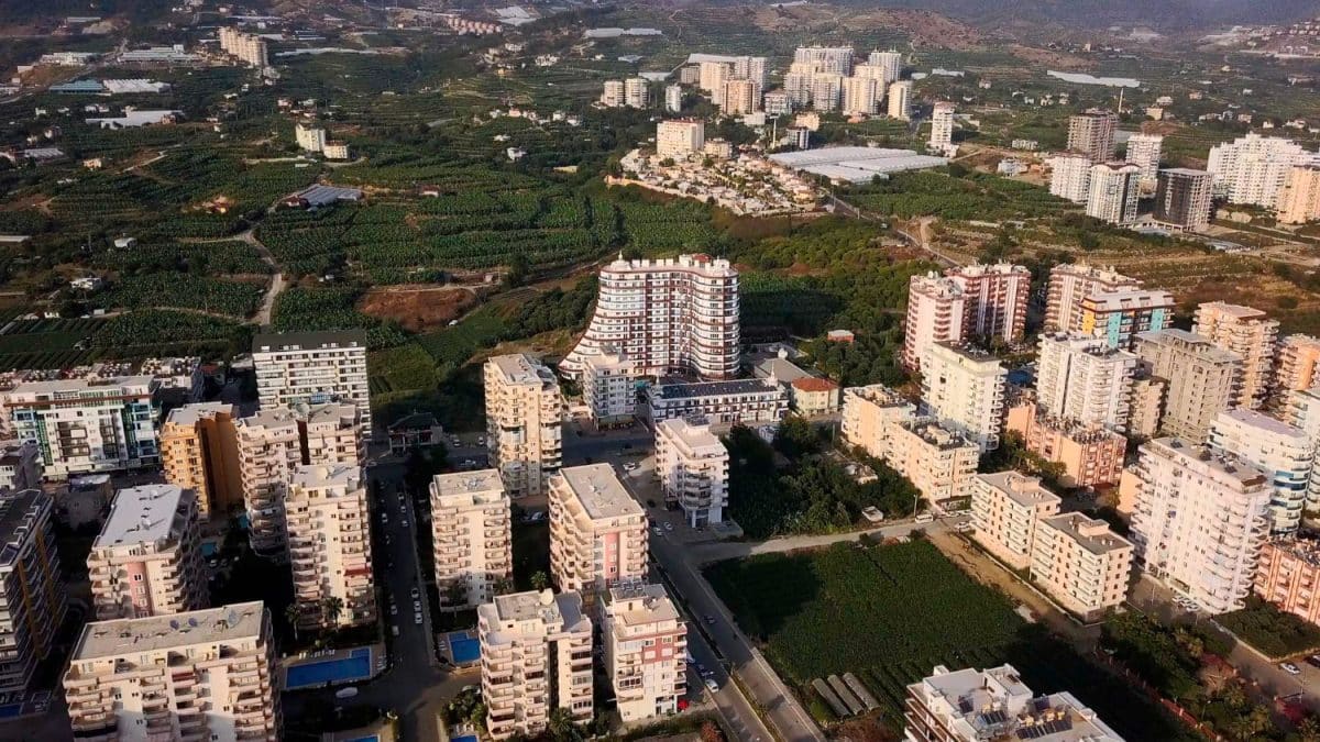 יזמות ובנייה
